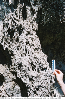 .\Tufa\C030131.jpg